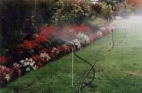 Garden with sprinklers picture
